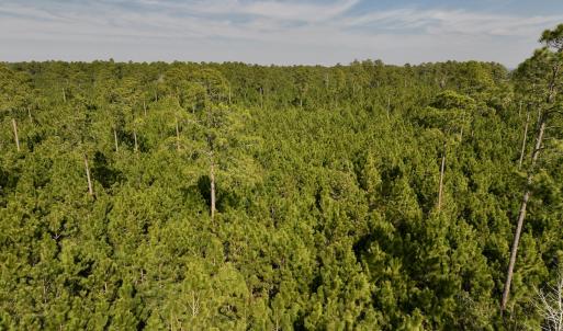 Photo #46 of SOLD property in 794 Wheaton Point Road, Aurora, NC 40.8 acres