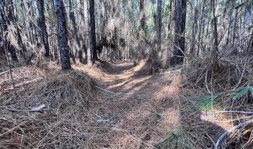 Photo #49 of SOLD property in 794 Wheaton Point Road, Aurora, NC 40.8 acres