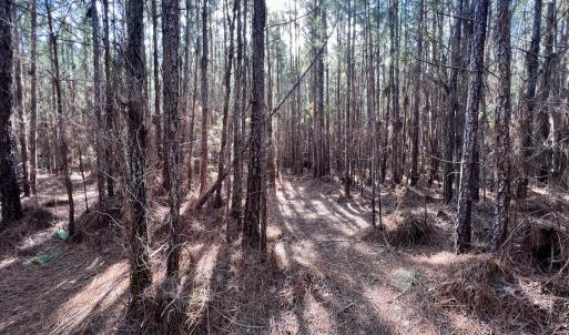 Photo #50 of SOLD property in 794 Wheaton Point Road, Aurora, NC 40.8 acres