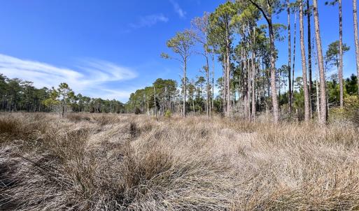 Photo #53 of SOLD property in 794 Wheaton Point Road, Aurora, NC 40.8 acres