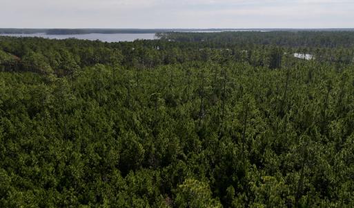 Photo #55 of SOLD property in 794 Wheaton Point Road, Aurora, NC 40.8 acres