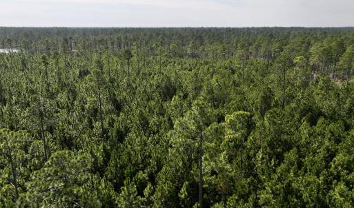 Photo #56 of SOLD property in 794 Wheaton Point Road, Aurora, NC 40.8 acres