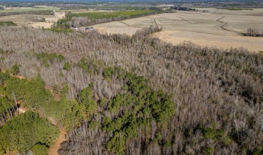 Photo #9 of SOLD property in Off Richland Drive, Red Springs, NC 10.4 acres