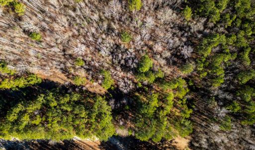 Photo #11 of SOLD property in Off Richland Drive, Red Springs, NC 10.4 acres