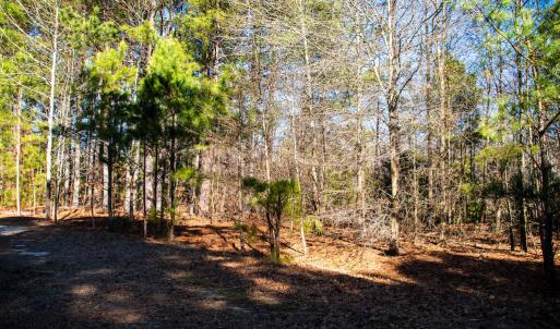 Photo #12 of SOLD property in Off Richland Drive, Red Springs, NC 10.4 acres