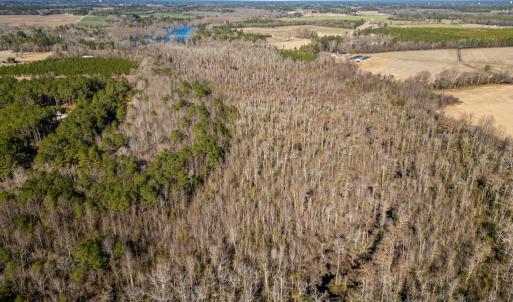 Photo #7 of SOLD property in Off Richland Drive, Red Springs, NC 10.4 acres