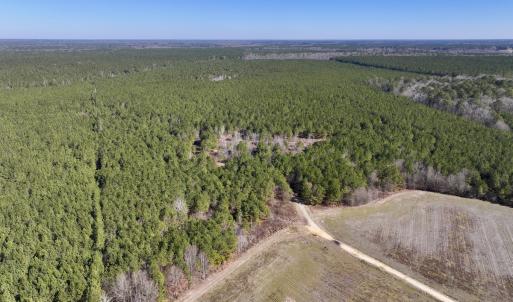 Photo #2 of SOLD property in Off Rehoboth Church Rd, Jackson, NC 162.7 acres