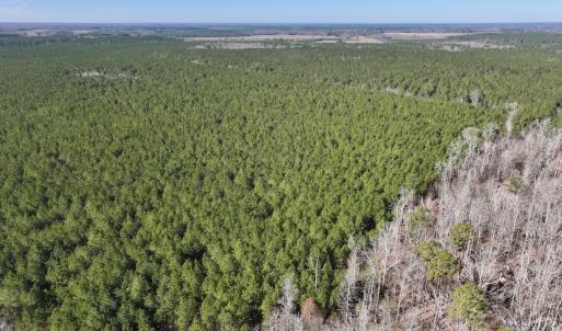 Photo #12 of SOLD property in Off Rehoboth Church Rd, Jackson, NC 162.7 acres