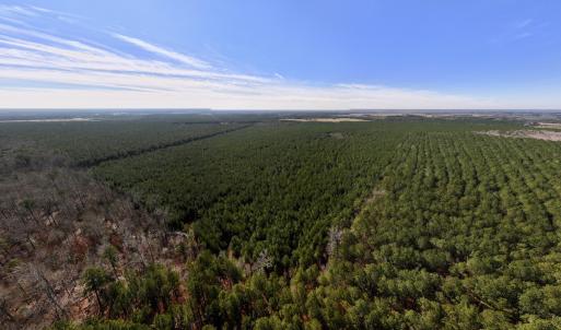Photo #15 of SOLD property in Off Rehoboth Church Rd, Jackson, NC 162.7 acres