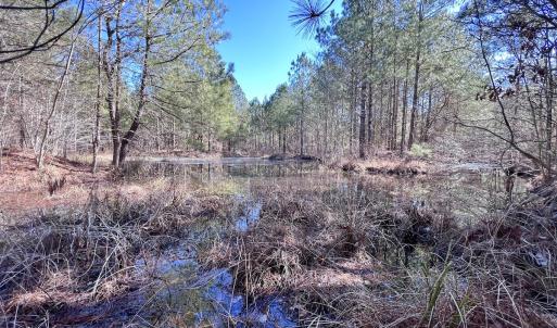 Photo #14 of SOLD property in Off Rehoboth Church Rd, Jackson, NC 162.7 acres