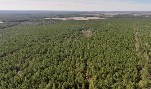 Photo #18 of SOLD property in Off Rehoboth Church Rd, Jackson, NC 162.7 acres