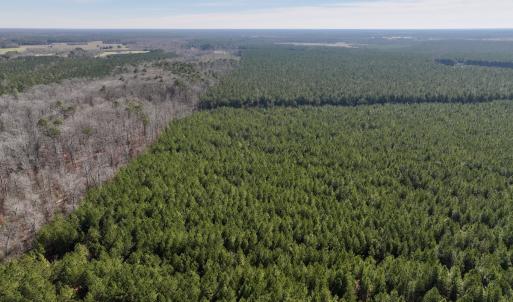 Photo #19 of SOLD property in Off Rehoboth Church Rd, Jackson, NC 162.7 acres