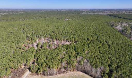 Photo #3 of SOLD property in Off Rehoboth Church Rd, Jackson, NC 162.7 acres