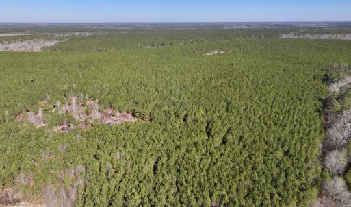 Photo #4 of SOLD property in Off Rehoboth Church Rd, Jackson, NC 162.7 acres