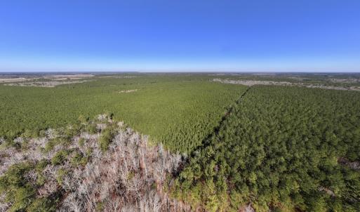 Photo #6 of SOLD property in Off Rehoboth Church Rd, Jackson, NC 162.7 acres