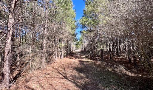Photo #7 of SOLD property in Off Rehoboth Church Rd, Jackson, NC 162.7 acres