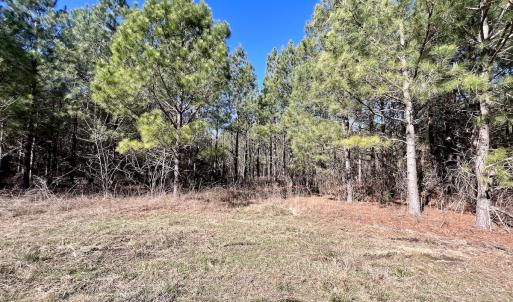 Photo #8 of SOLD property in Off Rehoboth Church Rd, Jackson, NC 162.7 acres