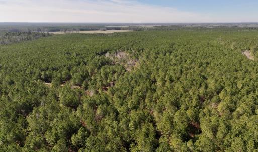 Photo #21 of SOLD property in Off Rehoboth Church Rd, Jackson, NC 162.7 acres