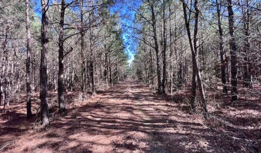 Photo #24 of SOLD property in Off Rehoboth Church Rd, Jackson, NC 162.7 acres