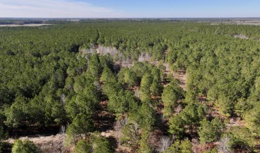 Photo #26 of SOLD property in Off Rehoboth Church Rd, Jackson, NC 162.7 acres