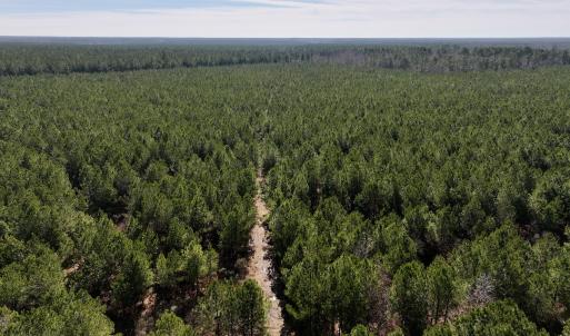 Photo #27 of SOLD property in Off Rehoboth Church Rd, Jackson, NC 162.7 acres