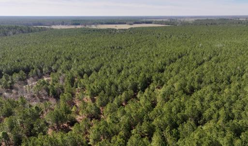 Photo #30 of SOLD property in Off Rehoboth Church Rd, Jackson, NC 162.7 acres