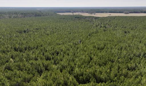 Photo #31 of SOLD property in Off Rehoboth Church Rd, Jackson, NC 162.7 acres