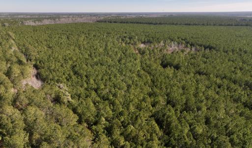Photo #32 of SOLD property in Off Rehoboth Church Rd, Jackson, NC 162.7 acres