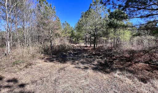 Photo #34 of SOLD property in Off Rehoboth Church Rd, Jackson, NC 162.7 acres