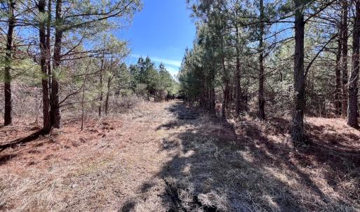 Photo #35 of SOLD property in Off Rehoboth Church Rd, Jackson, NC 162.7 acres