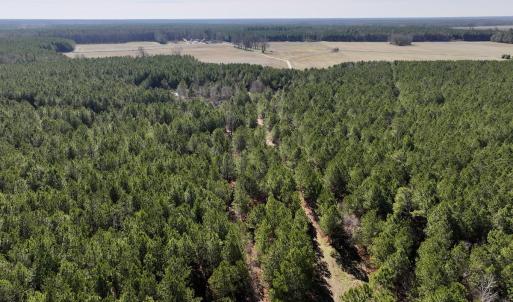 Photo #36 of SOLD property in Off Rehoboth Church Rd, Jackson, NC 162.7 acres