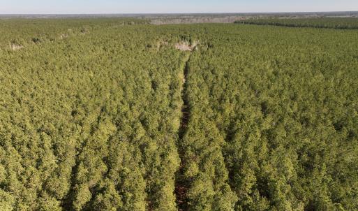 Photo #37 of SOLD property in Off Rehoboth Church Rd, Jackson, NC 162.7 acres