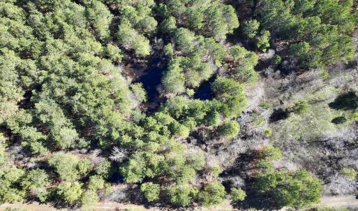 Photo #38 of SOLD property in Off Rehoboth Church Rd, Jackson, NC 162.7 acres