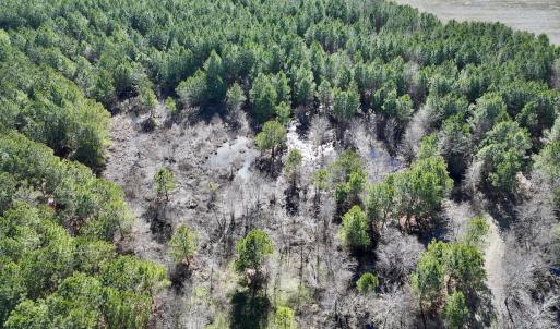 Photo #39 of SOLD property in Off Rehoboth Church Rd, Jackson, NC 162.7 acres
