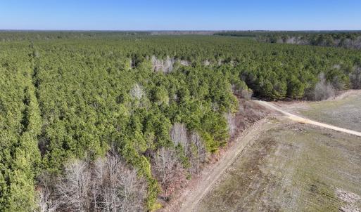 Photo #40 of SOLD property in Off Rehoboth Church Rd, Jackson, NC 162.7 acres