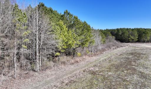 Photo #41 of SOLD property in Off Rehoboth Church Rd, Jackson, NC 162.7 acres