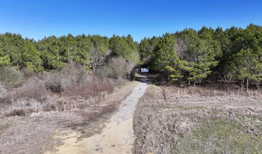 Photo #42 of SOLD property in Off Rehoboth Church Rd, Jackson, NC 162.7 acres