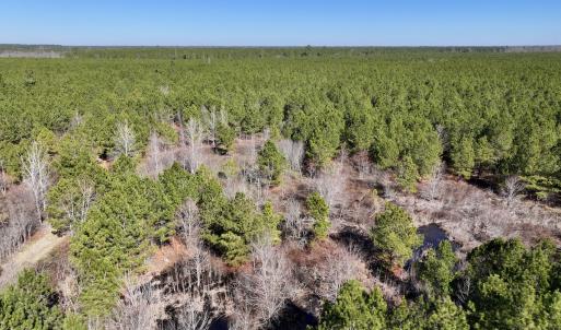 Photo #43 of SOLD property in Off Rehoboth Church Rd, Jackson, NC 162.7 acres
