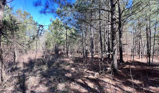 Photo #45 of SOLD property in Off Rehoboth Church Rd, Jackson, NC 162.7 acres
