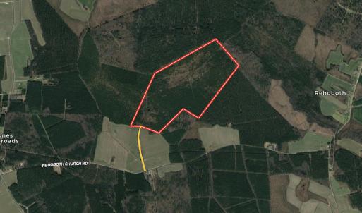Photo #1 of SOLD property in Off Rehoboth Church Rd, Jackson, NC 162.7 acres
