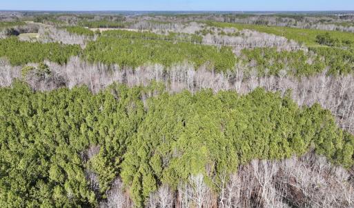 Photo #2 of SOLD property in Off SR 1344, Littleton, NC 5.1 acres