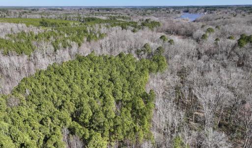 Photo #11 of SOLD property in Off SR 1344, Littleton, NC 5.1 acres