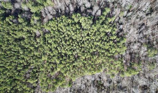 Photo #14 of SOLD property in Off SR 1344, Littleton, NC 5.1 acres