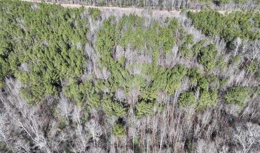 Photo #15 of SOLD property in Off SR 1344, Littleton, NC 5.1 acres