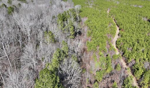 Photo #17 of SOLD property in Off SR 1344, Littleton, NC 5.1 acres