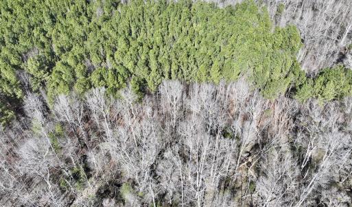 Photo #3 of SOLD property in Off SR 1344, Littleton, NC 5.1 acres