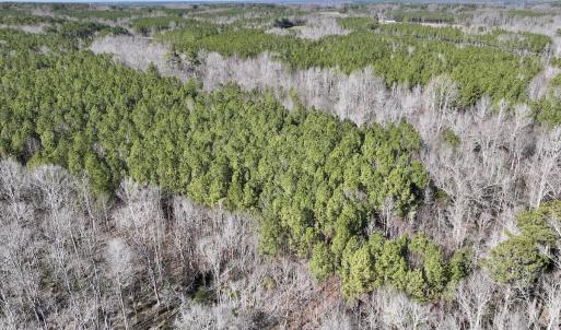 Photo #4 of SOLD property in Off SR 1344, Littleton, NC 5.1 acres