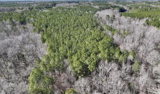 Photo #5 of SOLD property in Off SR 1344, Littleton, NC 5.1 acres