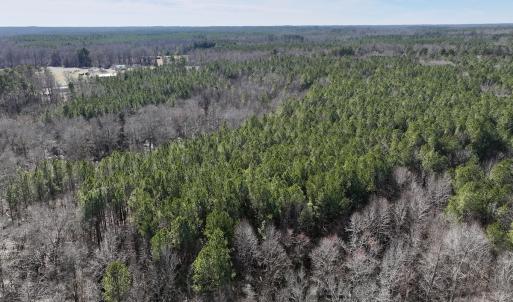 Photo #7 of SOLD property in Off SR 1344, Littleton, NC 5.1 acres