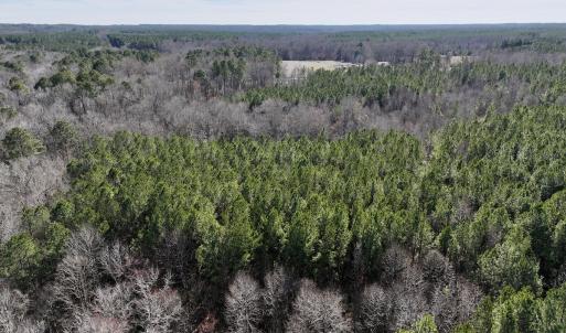 Photo #8 of SOLD property in Off SR 1344, Littleton, NC 5.1 acres